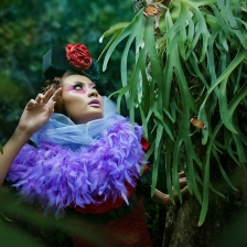 catch a butterfly by je 